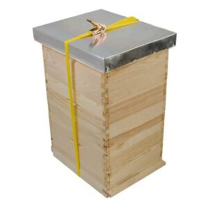 Stega za selidbu sa mehanizmom za zatezanje, španer, 5m, BEE